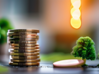 电商费在房地产政策中的角色与影响